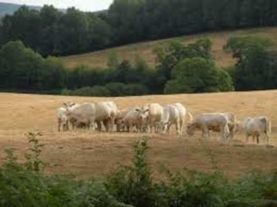 MennevilleLa Ferme Des Pierrettes别墅 外观 照片