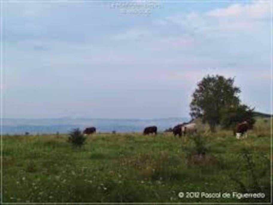 MennevilleLa Ferme Des Pierrettes别墅 外观 照片